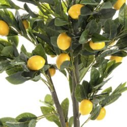 ιδανικά για να διακοσμήσουν με μεγάλο βαθμό αληθοφάνειας