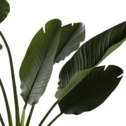 ιδανικά για να διακοσμήσουν με μεγάλο βαθμό αληθοφάνειας
