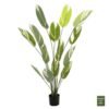 ΔΙΑΚΟΣΜΗΤΙΚΟ ΣΥΝΘΕΤΙΚΟ ΦΥΤΟ HM7997 CALATHEA ΣΕ ΓΛΑΣΤΡΑ 140Υεκ.